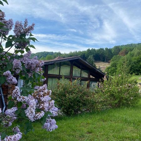 Cabana Vanatorului 8 Sohodol  Esterno foto