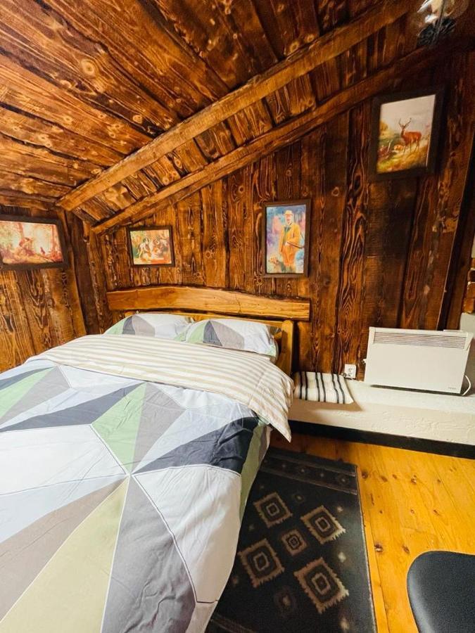 Cabana Vanatorului 8 Sohodol  Esterno foto